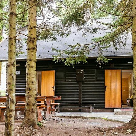 Chalet Liza & Rozi Zgornja Loznica Екстер'єр фото