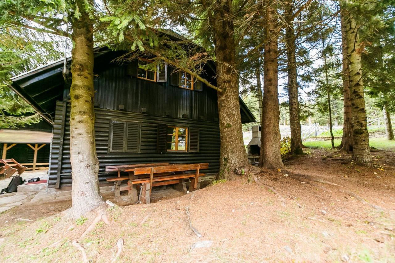 Chalet Liza & Rozi Zgornja Loznica Екстер'єр фото